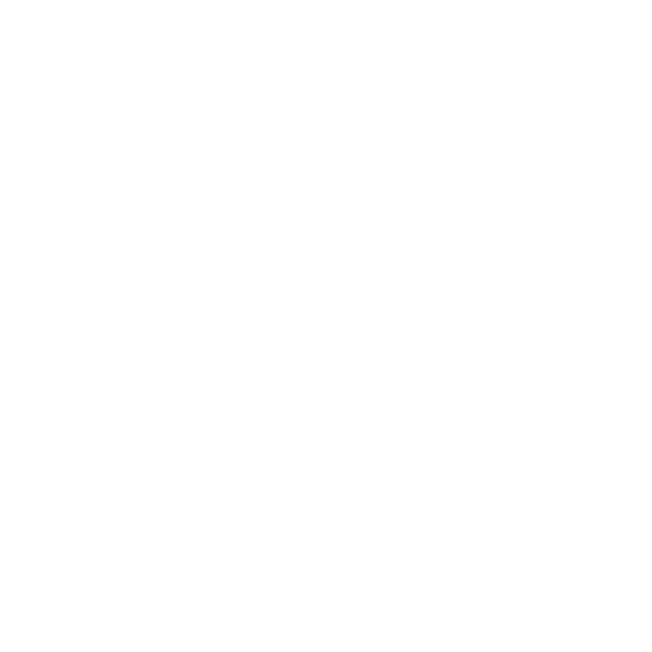 SSL Icon